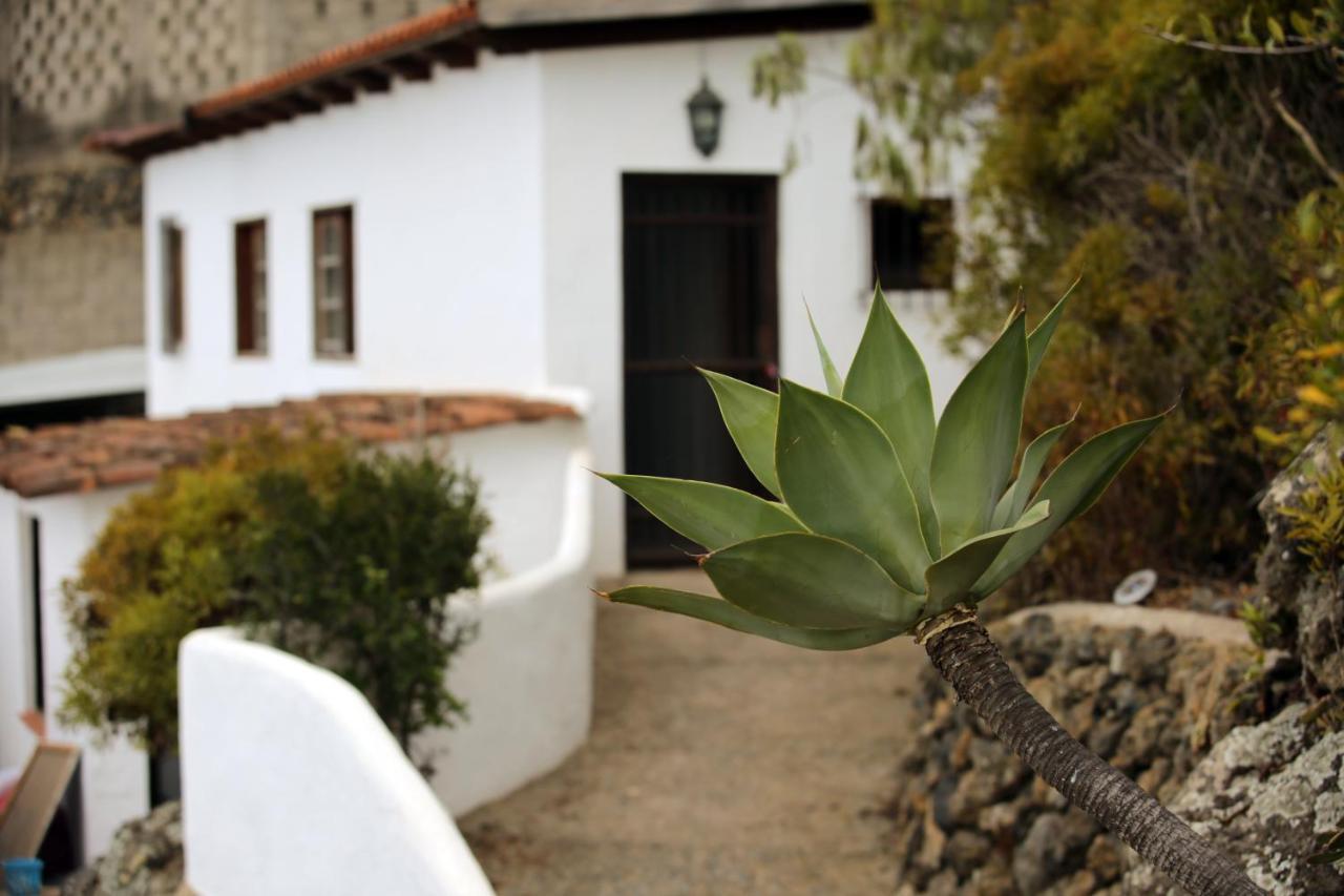 Parasol - Finca Tabaiba By Tor Icod de los Vinos Kültér fotó